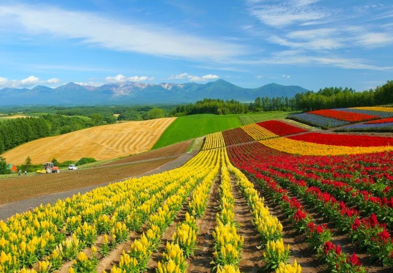 agricultura