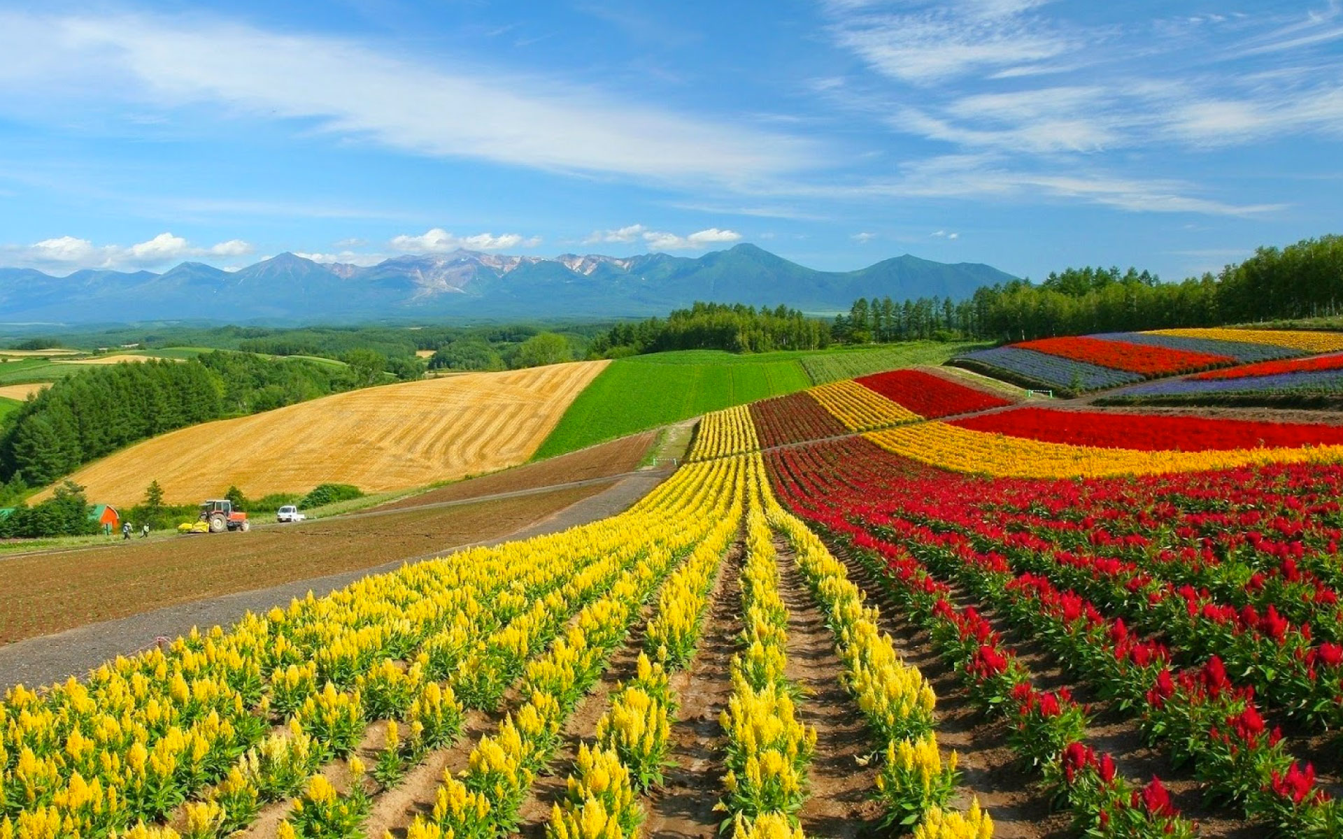 agricultura